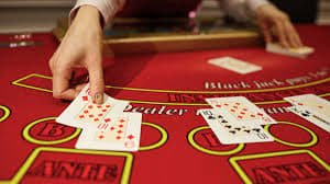 Informasi lisensi bokedomino di layar ponsel